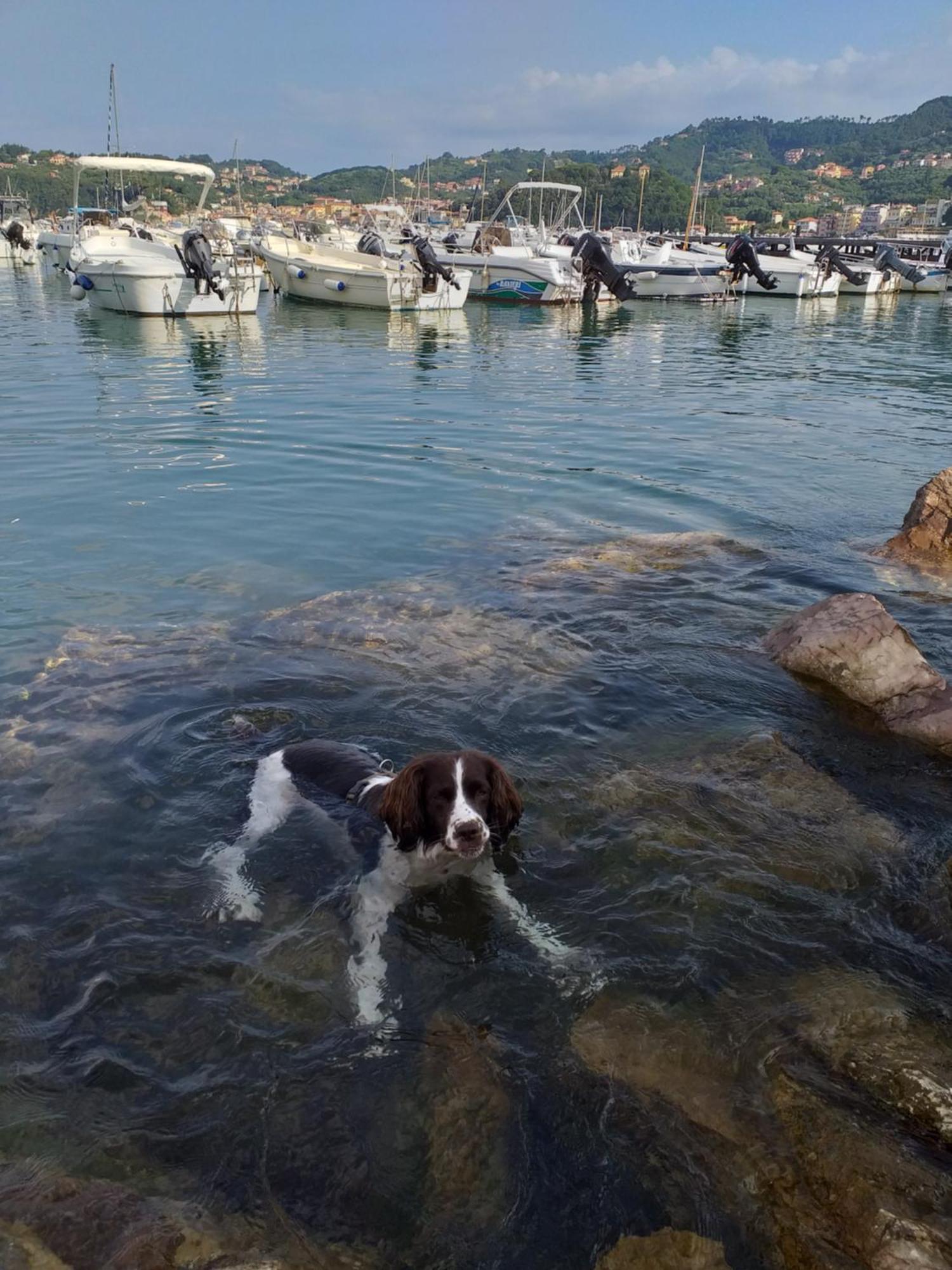 Willa Casa A Lerici Nell'Antico Borgo Zewnętrze zdjęcie
