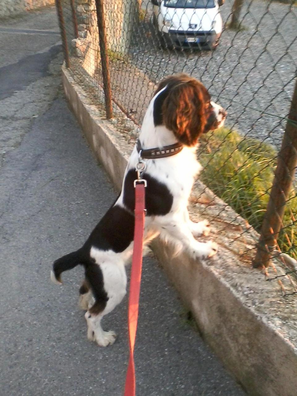 Willa Casa A Lerici Nell'Antico Borgo Zewnętrze zdjęcie