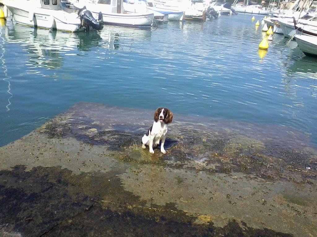 Willa Casa A Lerici Nell'Antico Borgo Zewnętrze zdjęcie