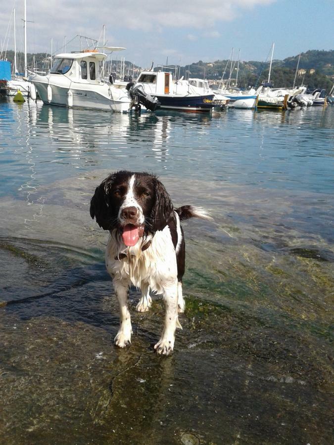 Willa Casa A Lerici Nell'Antico Borgo Zewnętrze zdjęcie